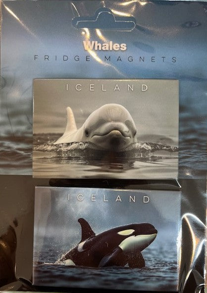 Duo Fridge Magnets Duo Fridge Magnets
